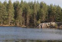 Bifogad bild: DPP_0003.JPG