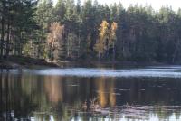 Bifogad bild: DPP_0007.JPG