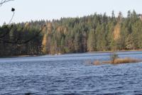 Bifogad bild: DPP_0004.JPG