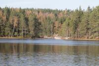 Bifogad bild: DPP_0002.JPG
