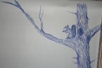 squirrel.JPG