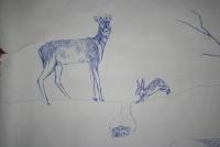 deer.JPG