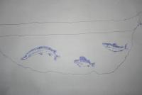 fish.JPG