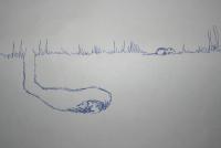 mouse.JPG