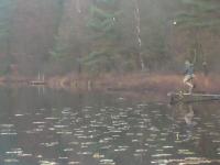 Bifogad bild: DSC03077__800_x_600_.jpg