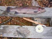 Bifogad bild: fallbow2.jpg