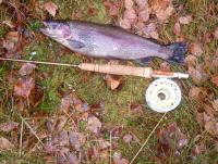 Bifogad bild: fallbow1.jpg
