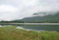 Bifogad bild: DSC_0237.JPG