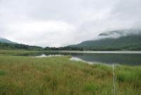 Bifogad bild: DSC_0239.JPG