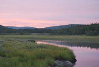 Bifogad bild: DSC_0175.JPG
