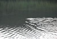 Bifogad bild: DSC_0267.JPG