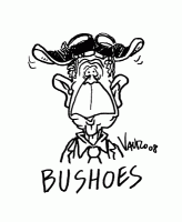 Bifogad bild: BUSHSHOES.gif
