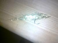 Bifogad bild: 20101222048.jpg