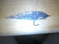 Bifogad bild: lill fisken.jpg