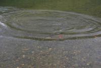 Bifogad bild: DSC_0352.JPG