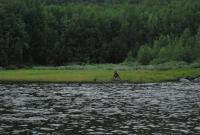 Bifogad bild: DSC_0464.JPG