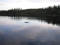 Bifogad bild: IMG_0114Liten.jpg