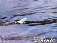 Bifogad bild: DSC00791.jpg