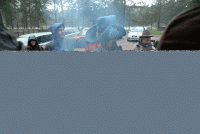 Bifogad bild: evil-ulf.gif