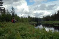 Bifogad bild: alvdalen-2008-061.jpg