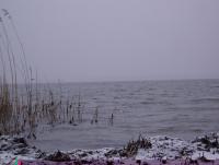 Bifogad bild: braviken_vinter.JPG