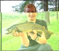 Bifogad bild: Lilla Grisen.JPG