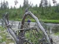 Bifogad bild: Doublewood....JPG