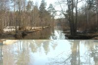 Bifogad bild: DSC_3554tn.JPG
