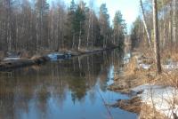 Bifogad bild: DSC_3560tn.JPG