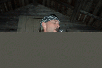 Bifogad bild: hillbilly.gif