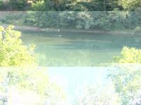 Bifogad bild: n612460344_232141_8295.jpg