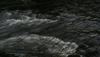 Bifogad bild: dswd323.jpg