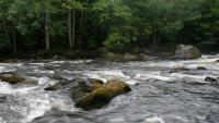 Bifogad bild: DSC01064.JPG