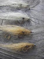 Bifogad bild: shripms.jpg