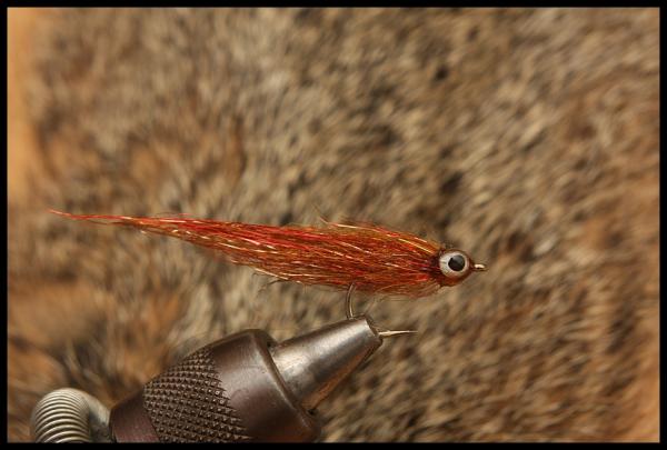 Copper baitfish