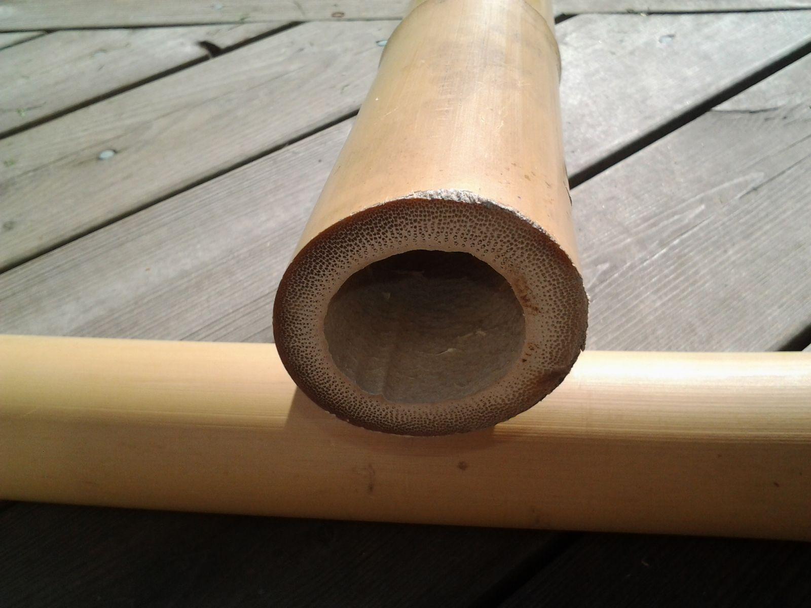 Tonkin Bambu från Stefan Löfmark