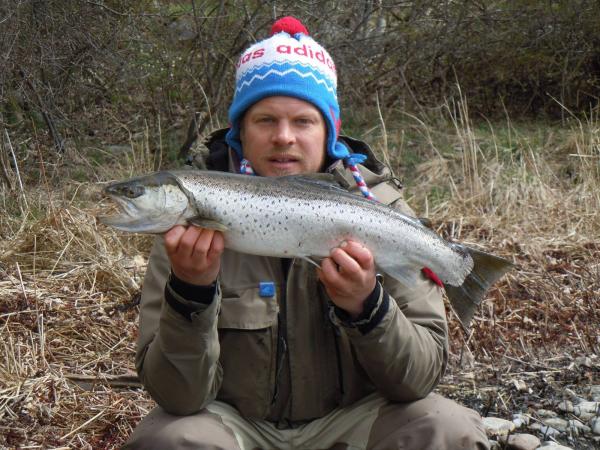 Havsöring 3,4 kg - Smålandskusten