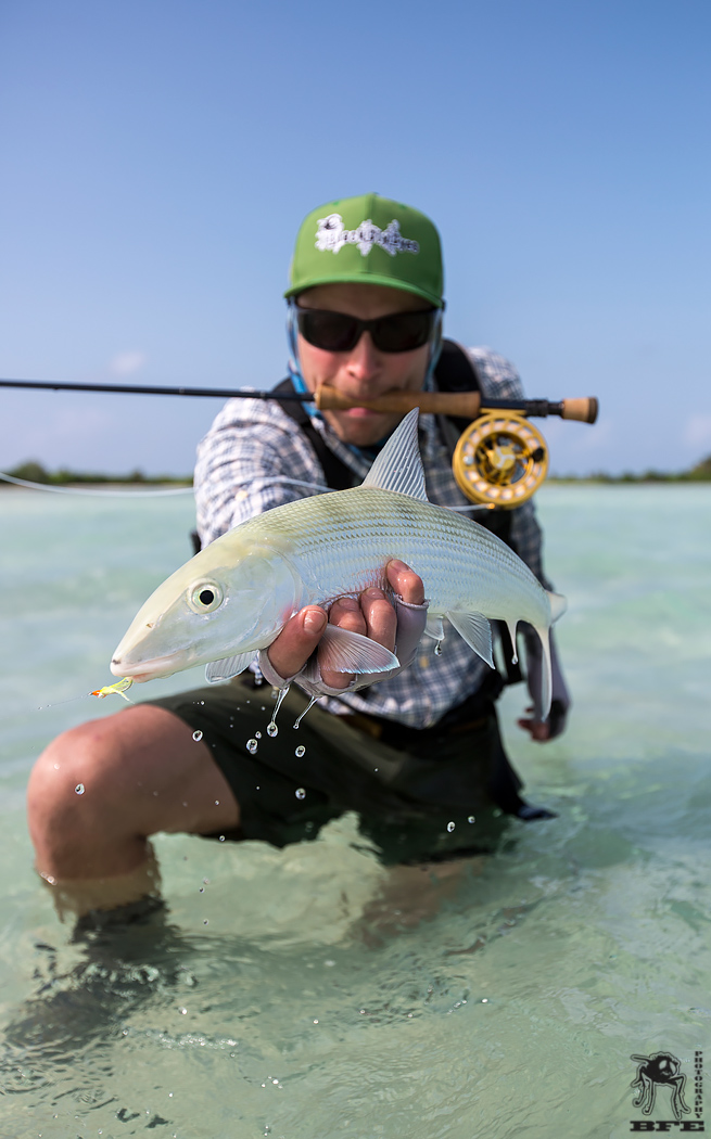 Seychelles - Alphonse