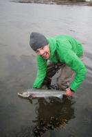 post-11600-0-87053700-1334003640_thumb.j