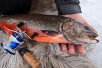 post-7802-0-98220500-1304510022_thumb.jp