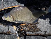 post-10796-0-04945600-1336914184_thumb.j