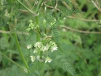 post-9042-0-87576800-1400526042_thumb.jp