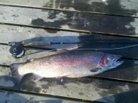 post-11614-0-63637000-1339013932_thumb.j