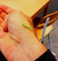 post-7833-0-15074300-1339100286_thumb.jp