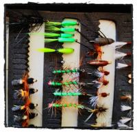 post-7833-0-99099800-1339100363_thumb.jp