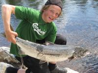 post-8389-081711300 1278445378_thumb.jpg