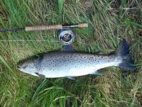 post-8062-0-60323600-1347222266_thumb.jp