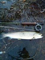 post-8201-0-27384400-1347304018_thumb.jp