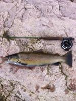 post-8201-0-34511000-1348581567_thumb.jp