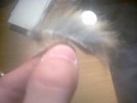 post-9839-004312900 1287502843_thumb.jpg